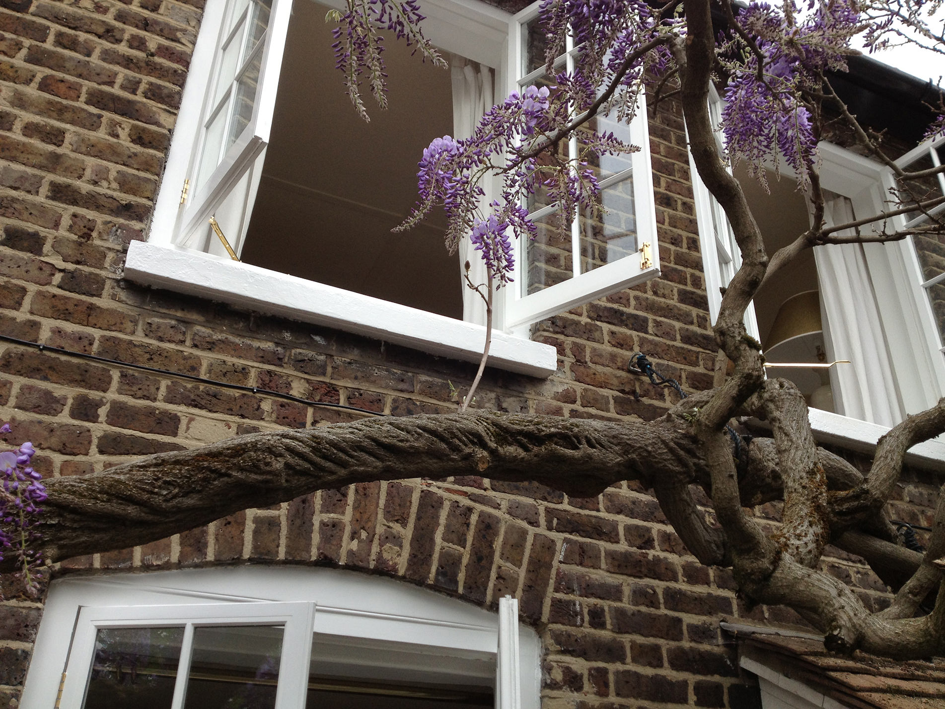 Traditional Georgian House Front with Wisteria