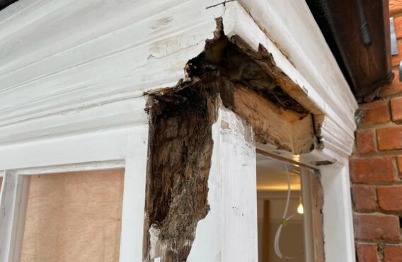 rotten wood before replacement